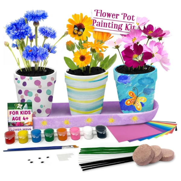 Pinwheel Crafts Flower Pot Painting Kit
